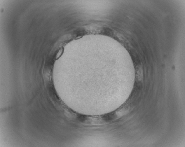 X0000074950713200609291847