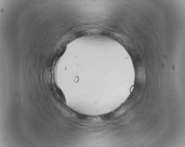 X0000074950715200609291847