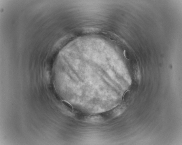 X0000074950716200609291847