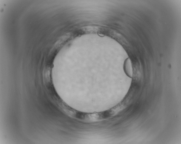 X0000074950717200609291847