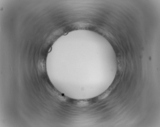 X0000074950718200609291847