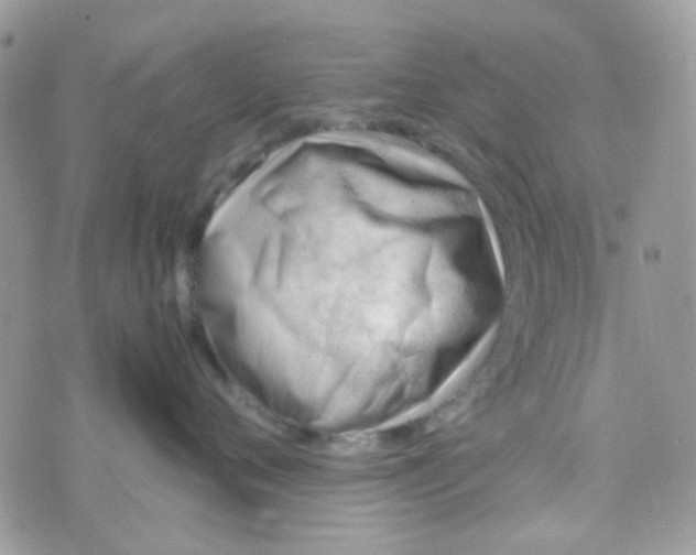 X0000074950720200609291847