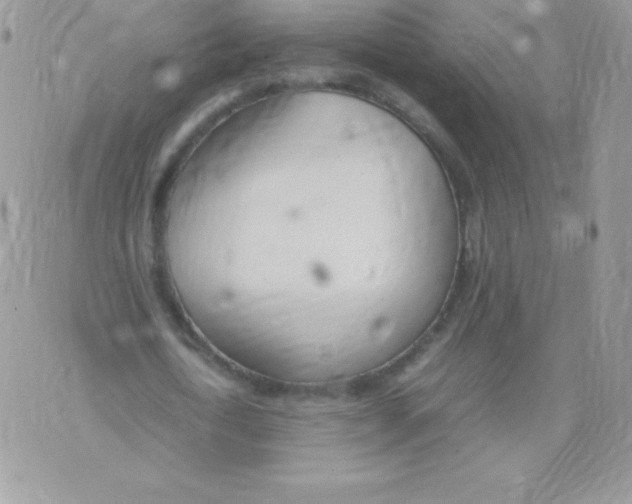 X0000074950722200609291846