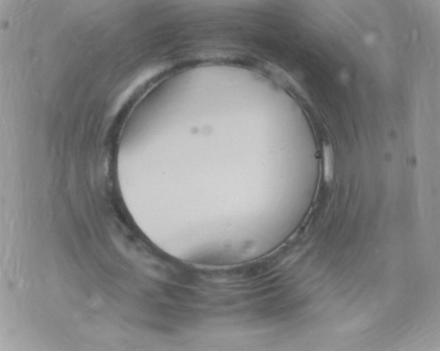 X0000074950723200609291846