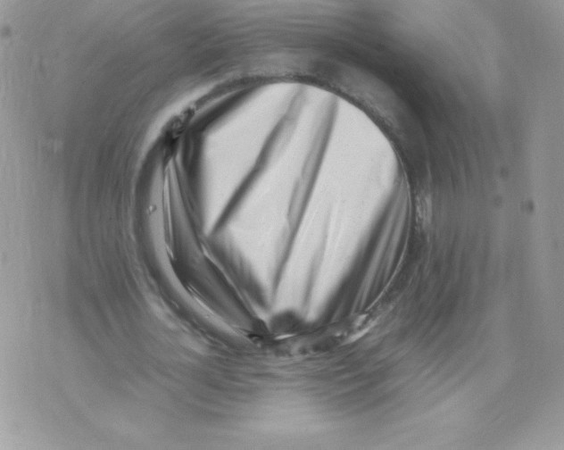 X0000074950724200609291847