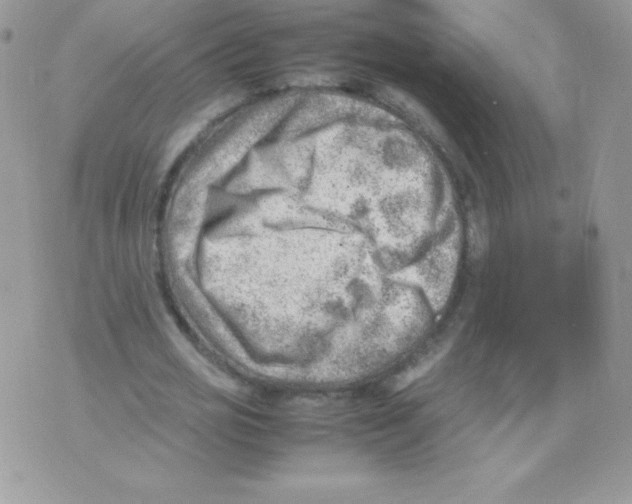 X0000074950725200609291847