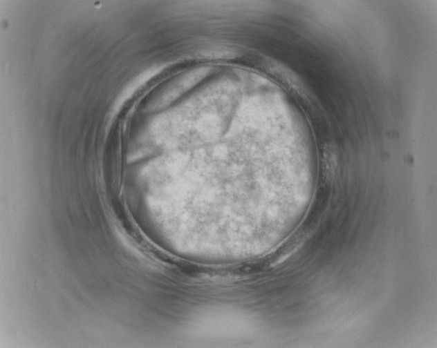 X0000074950726200609291847