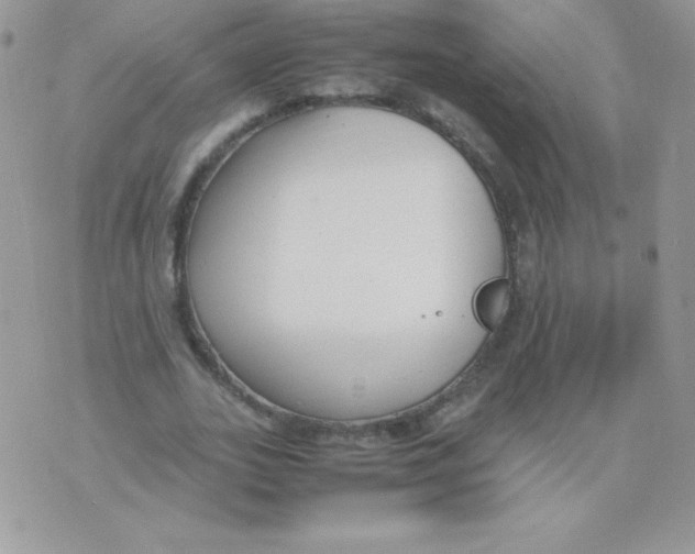 X0000074950727200609291847