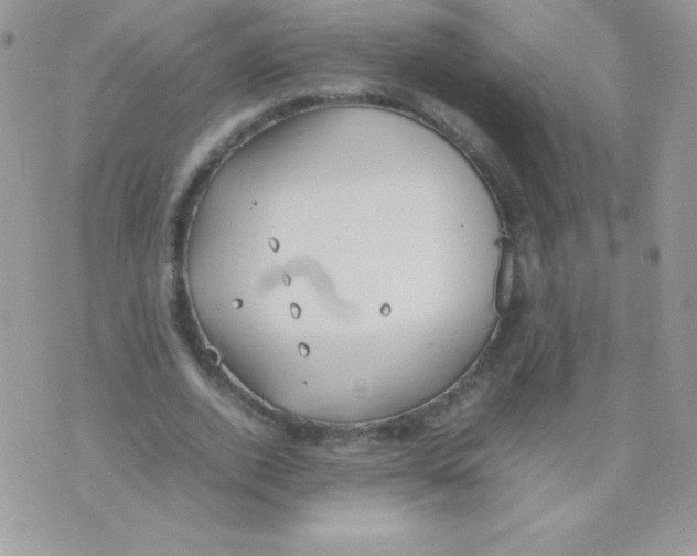 X0000074950728200609291847