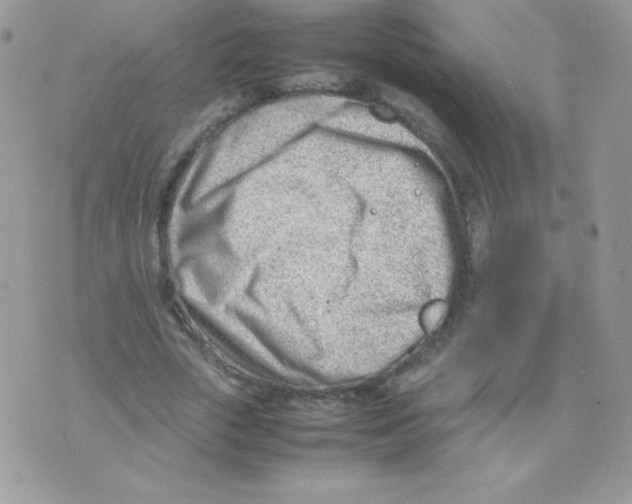 X0000074950729200609291847