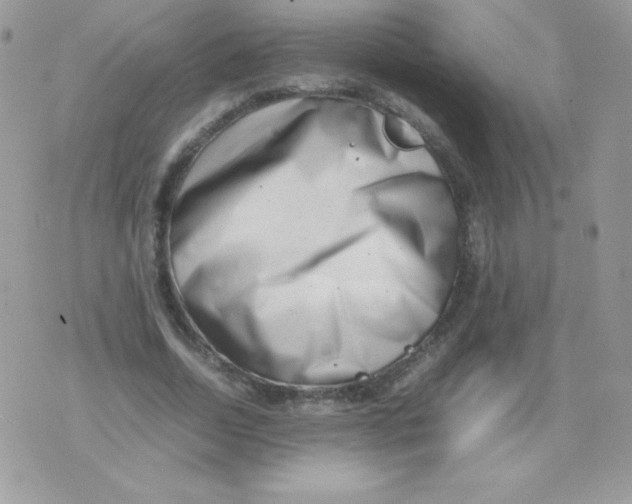 X0000074950730200609291847