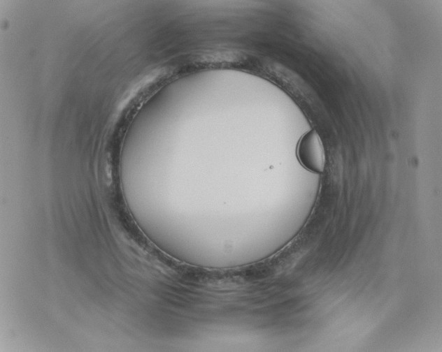 X0000074950731200609291847