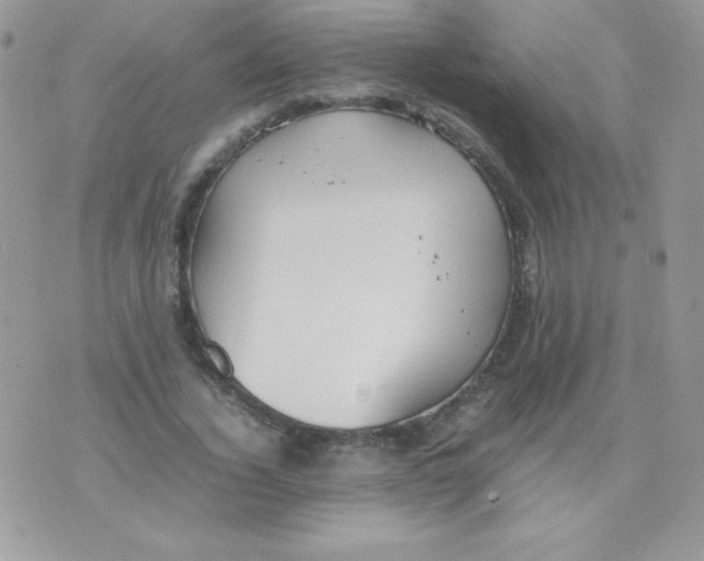 X0000074950732200609291847