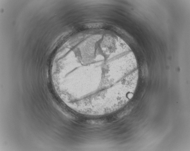 X0000074950733200609291847