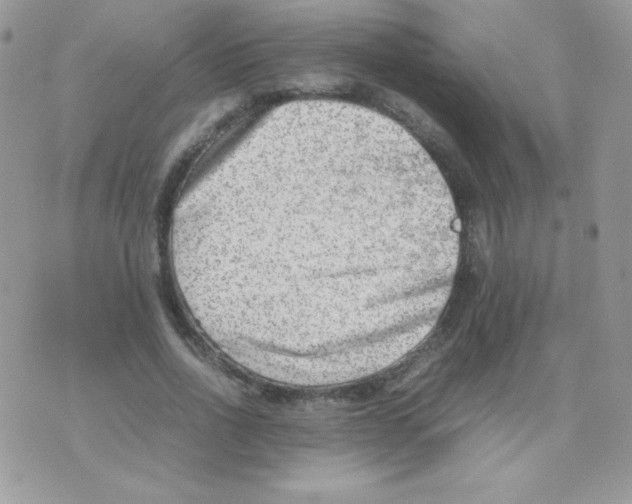 X0000074950734200609291847