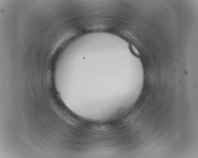 X0000074950735200609291847