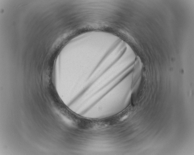 X0000074950736200609291847