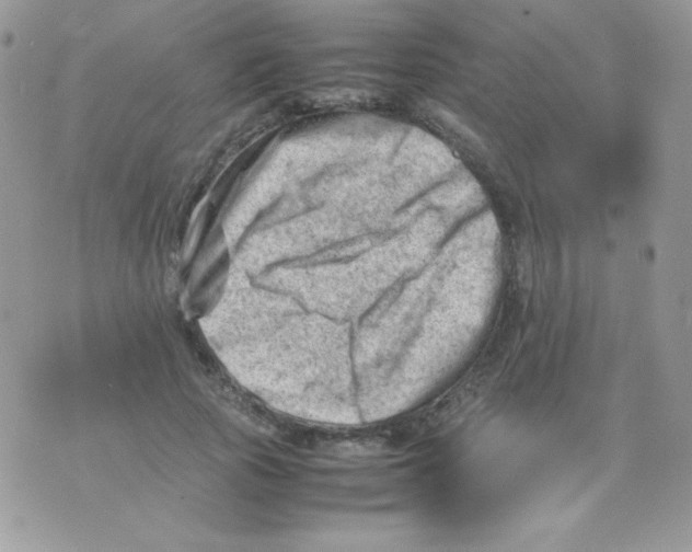 X0000074950737200609291847