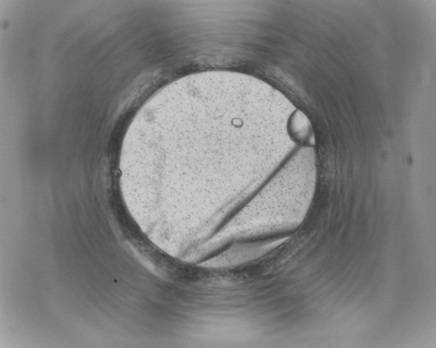 X0000074950738200609291847