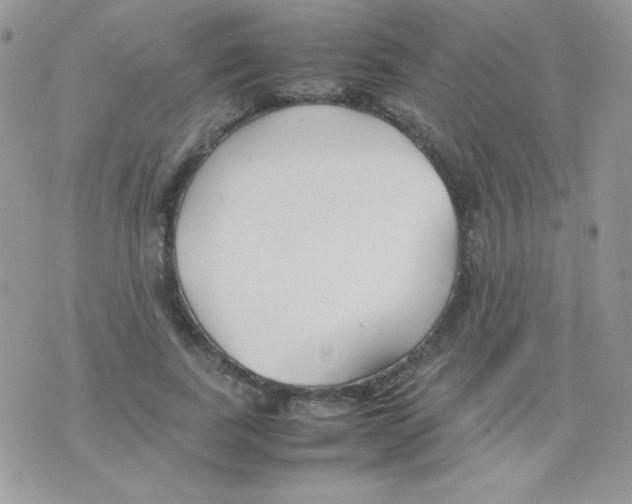 X0000074950739200609291847