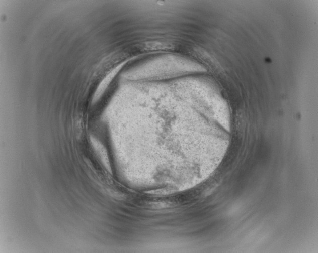 X0000074950741200609291847