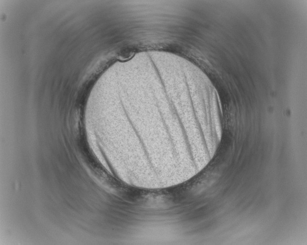 X0000074950742200609291847