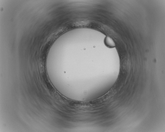 X0000074950743200609291847