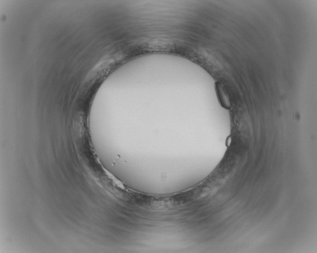 X0000074950744200609291847