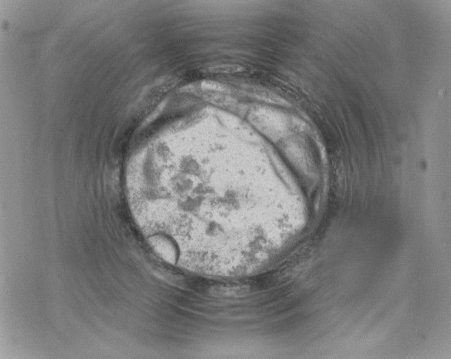 X0000074950745200609291847