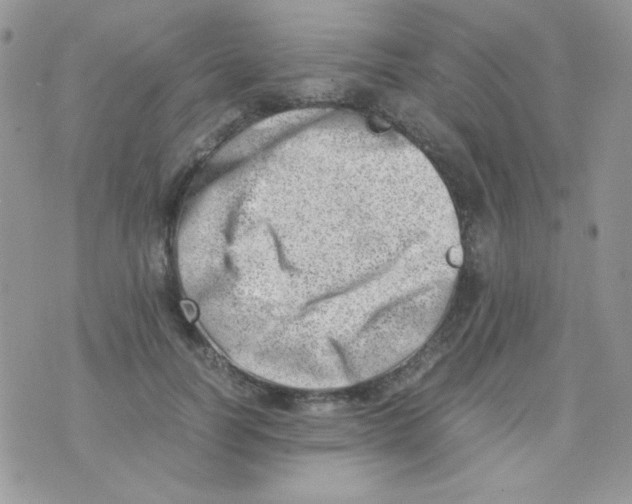 X0000074950746200609291847