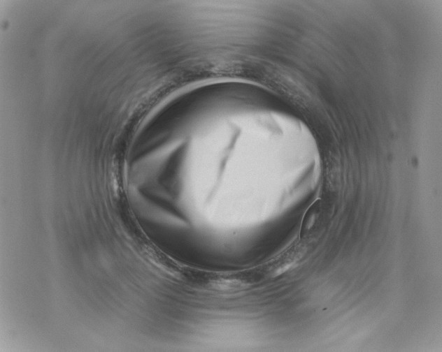 X0000074950748200609291847