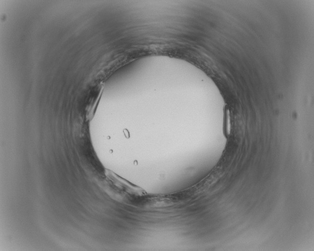 X0000074950750200609291847