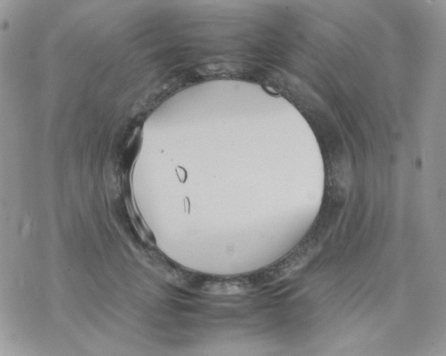 X0000074950751200609291847