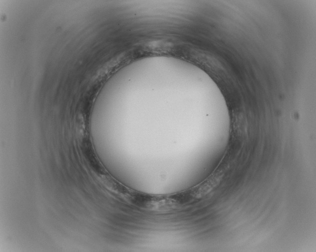 X0000074950752200609291847