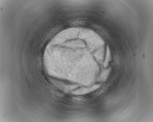 X0000074950753200609291847