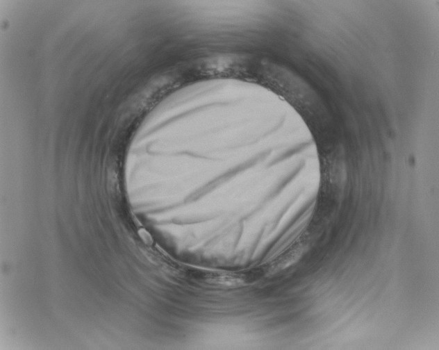 X0000074950754200609291847