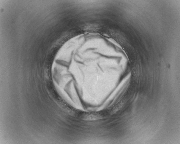 X0000074950755200609291847