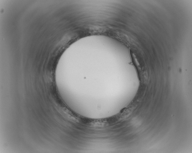 X0000074950756200609291847