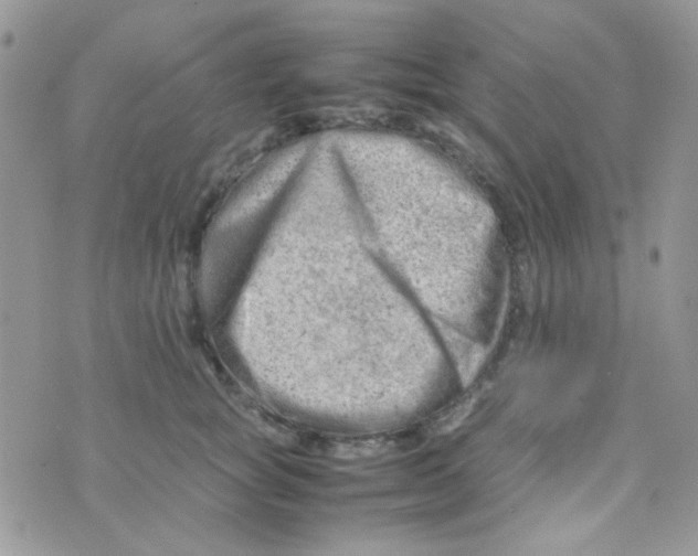 X0000074950757200609291847