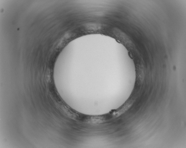 X0000074950758200609291847