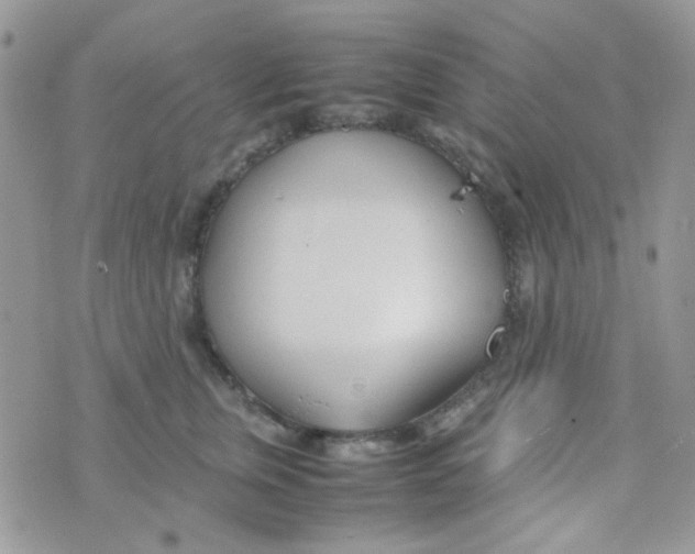 X0000074950759200609291847