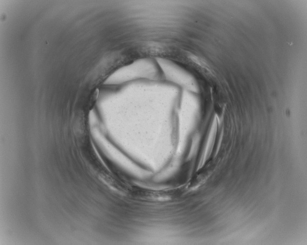 X0000074950760200609291847