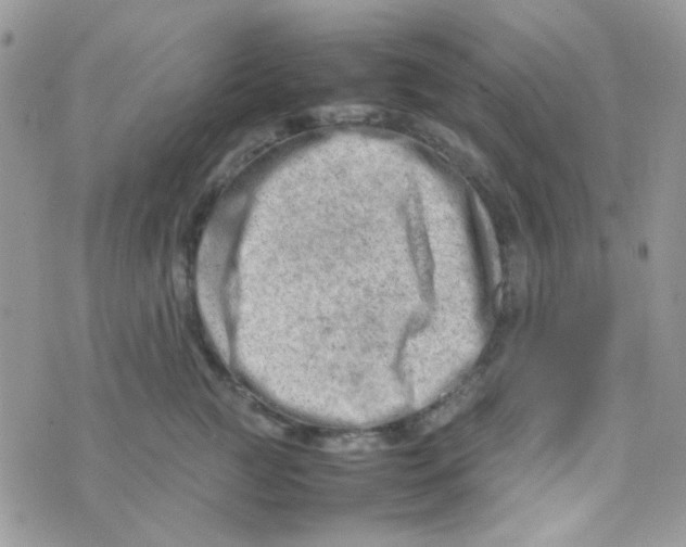 X0000074950761200609291847