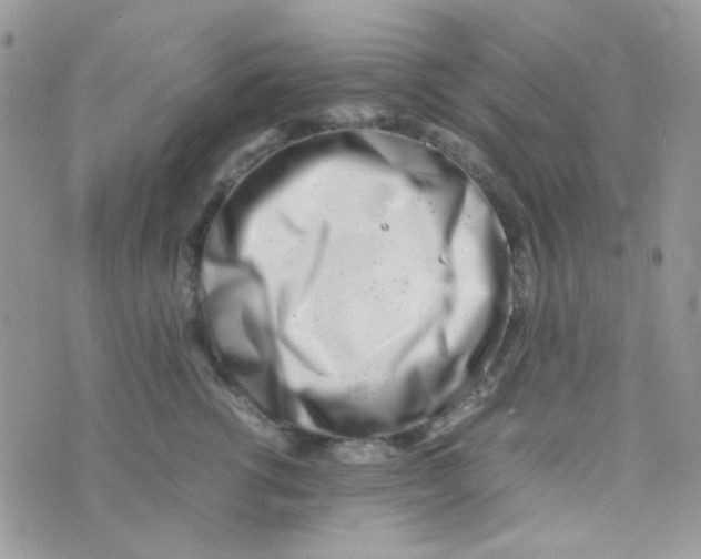 X0000074950762200609291847