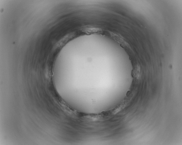 X0000074950763200609291847