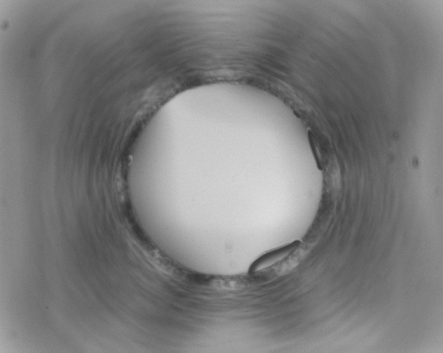 X0000074950764200609291847