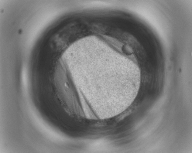 X0000074950765200609291847