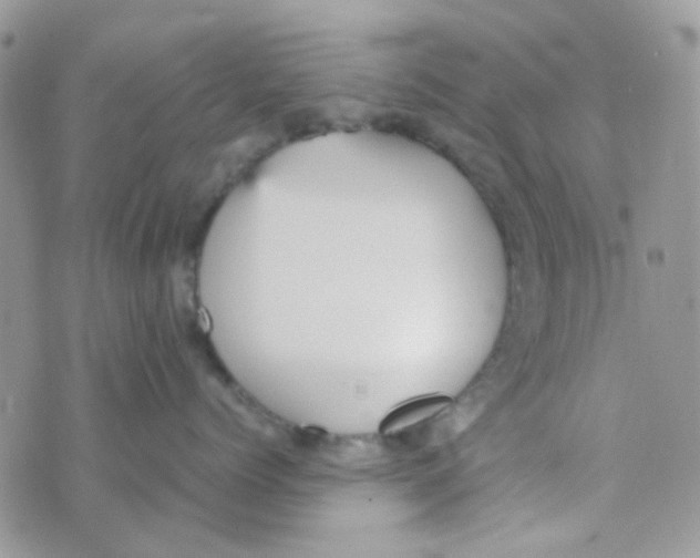 X0000074950768200609291847