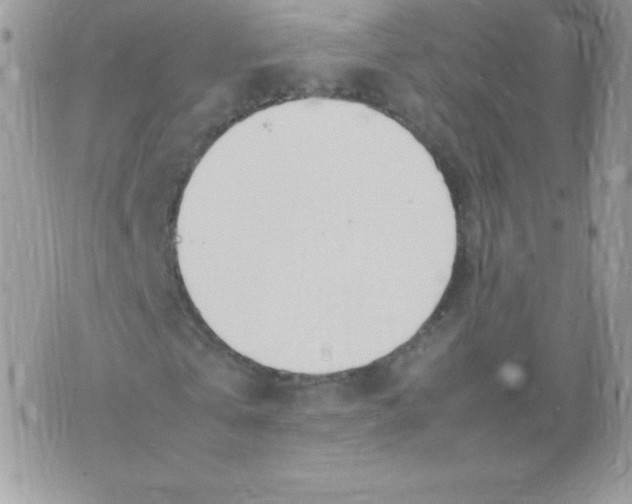 X0000074950769200609291846