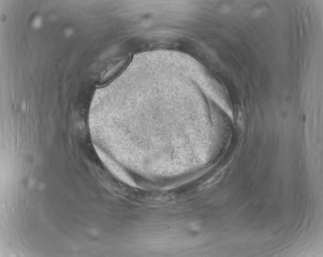 X0000074950771200609291846